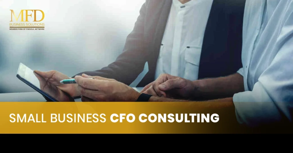 Small Business CFO Consulting