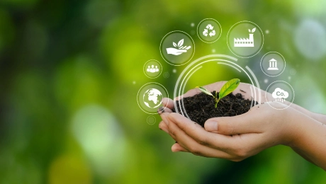 ESG & SUSTAINABILITY 1 ESG And Sustainability Services
