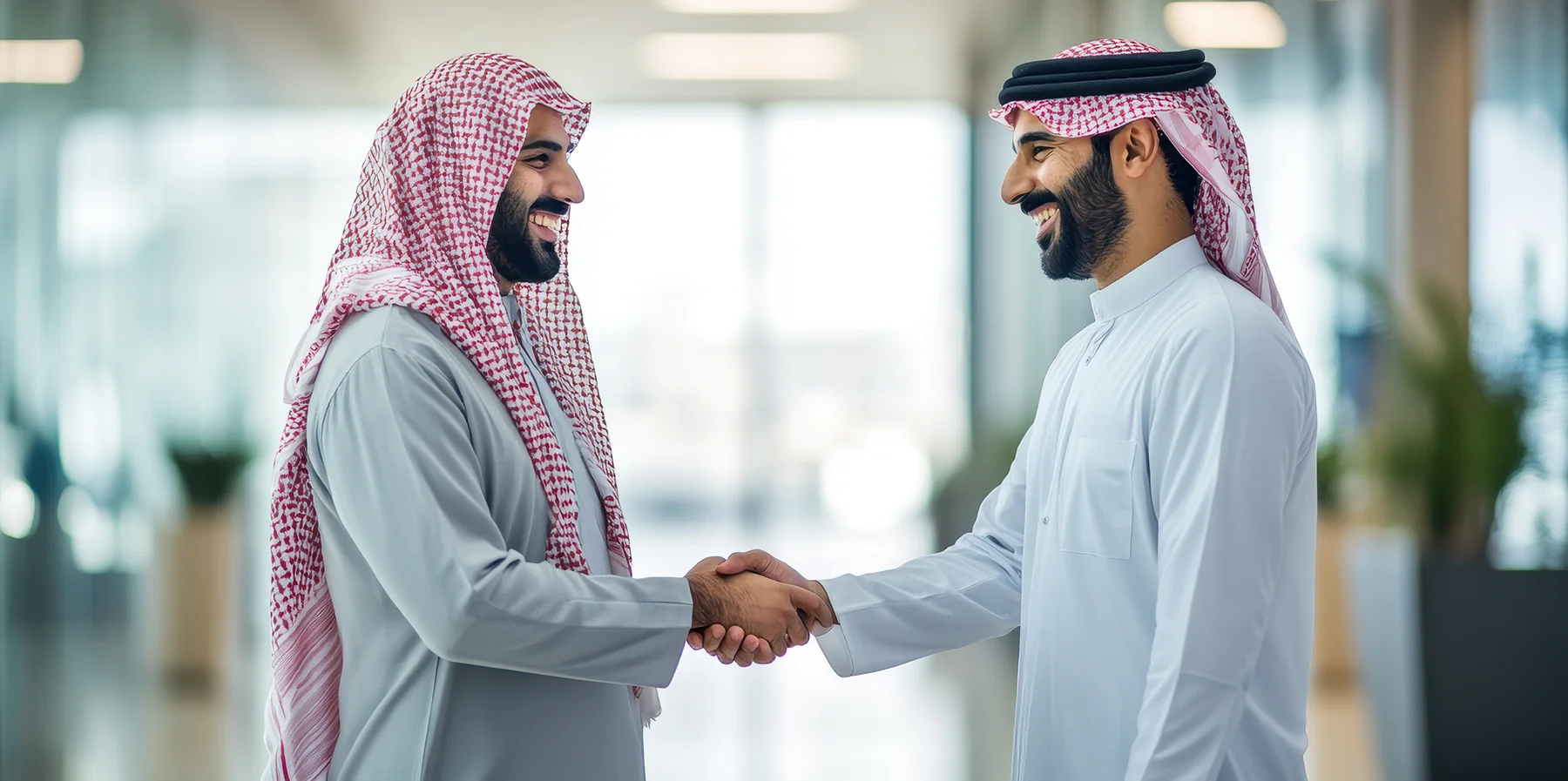 Joint Venture Setup Img 02